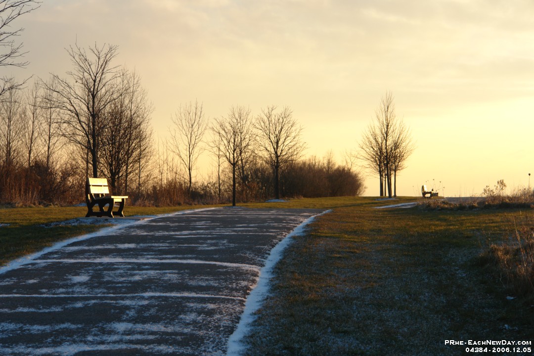 04384 - Morning Glory, Rotary Park